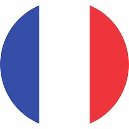 Français général en groupe (20h par semaine)