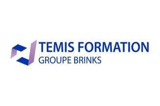 TEMIS FORMATION