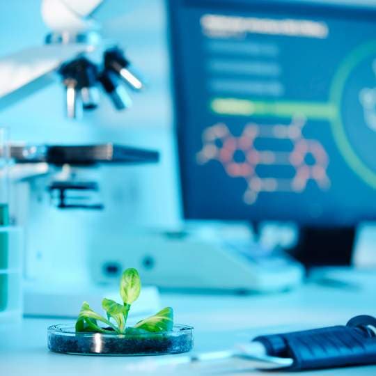 Biotechnologie