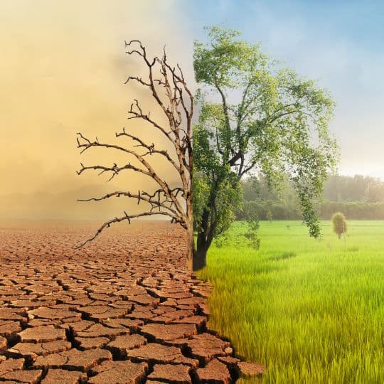 La Fresque du Climat