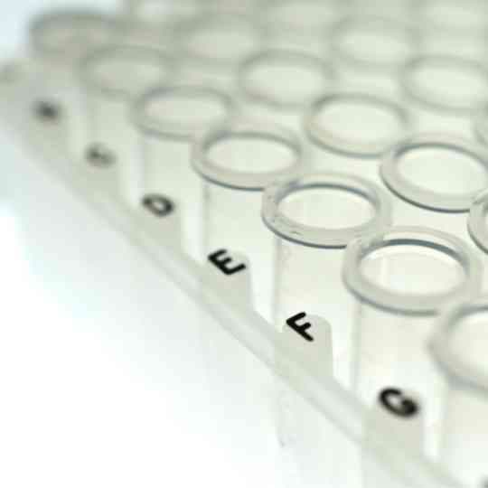 Laverie de laboratoire