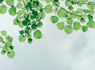 Protection de l'environnement