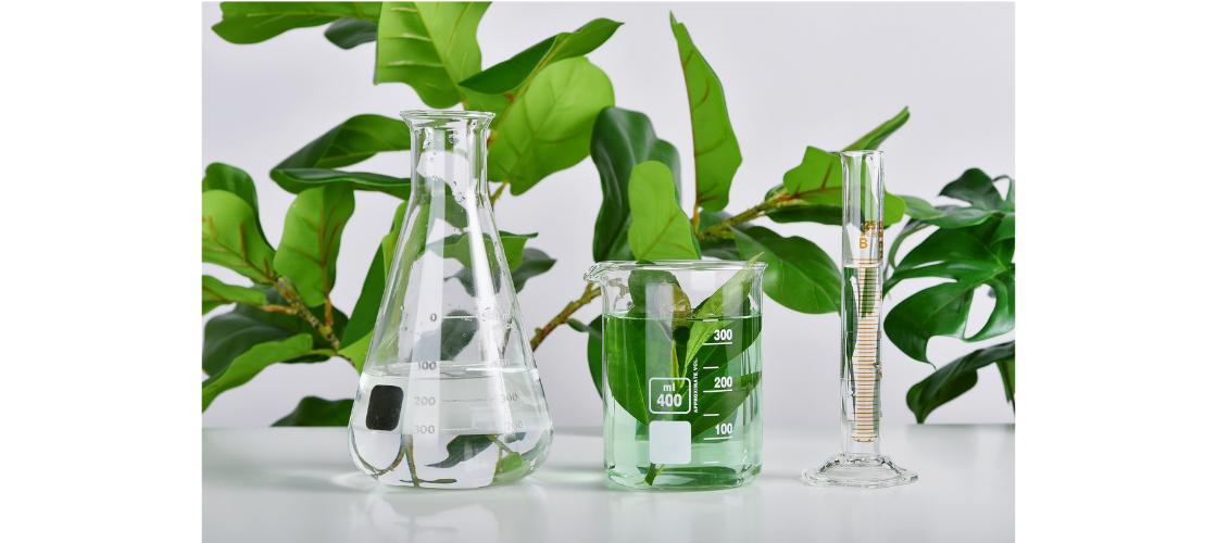 Protection de l'environnement