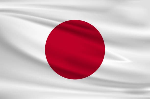 Japonais professionnel - 20h sur mesure - à distance