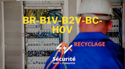 BR-B1v-B2v-BC - RECYCLAGE