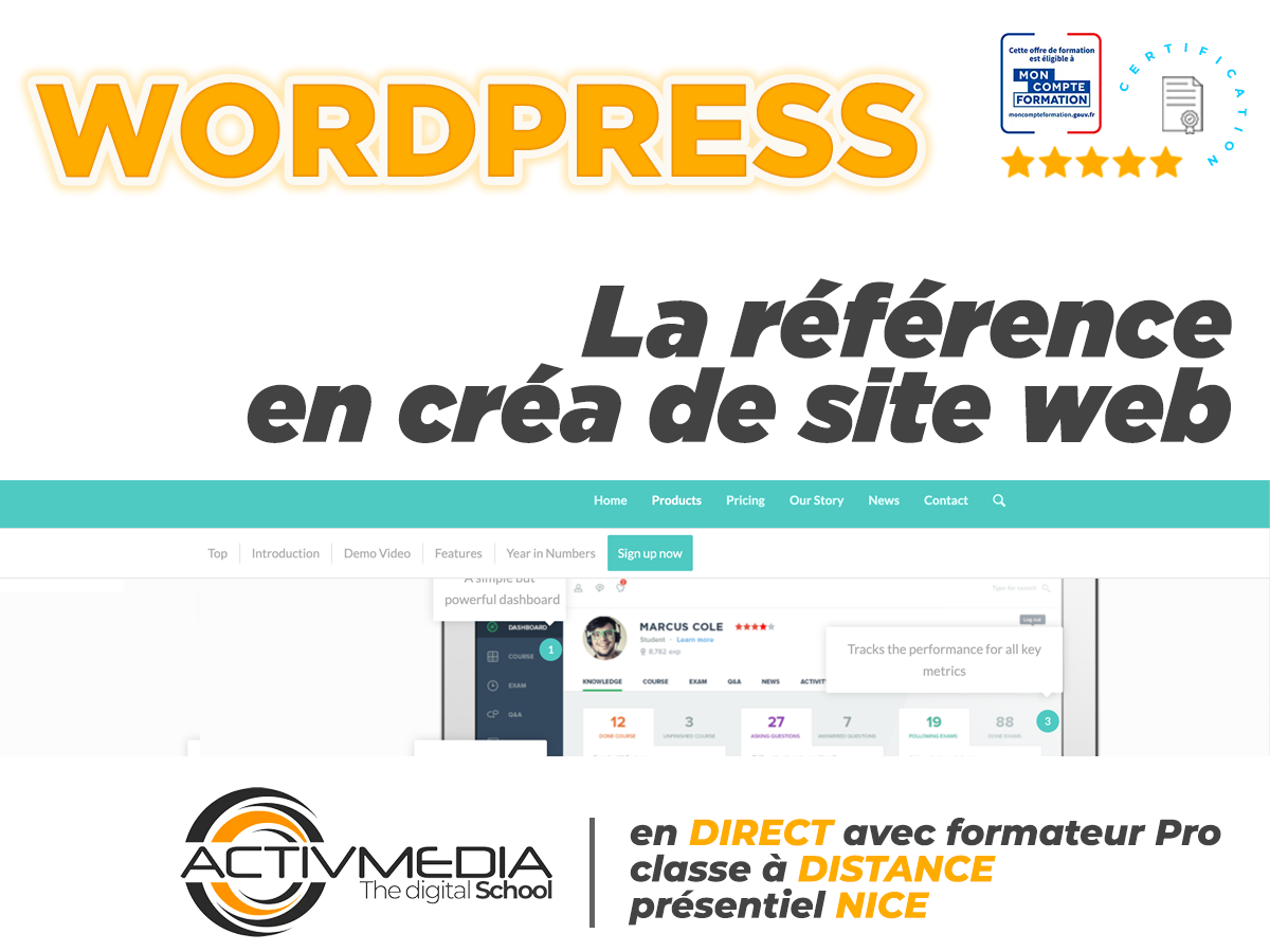 WordPress - Réaliser un site internet professionnel