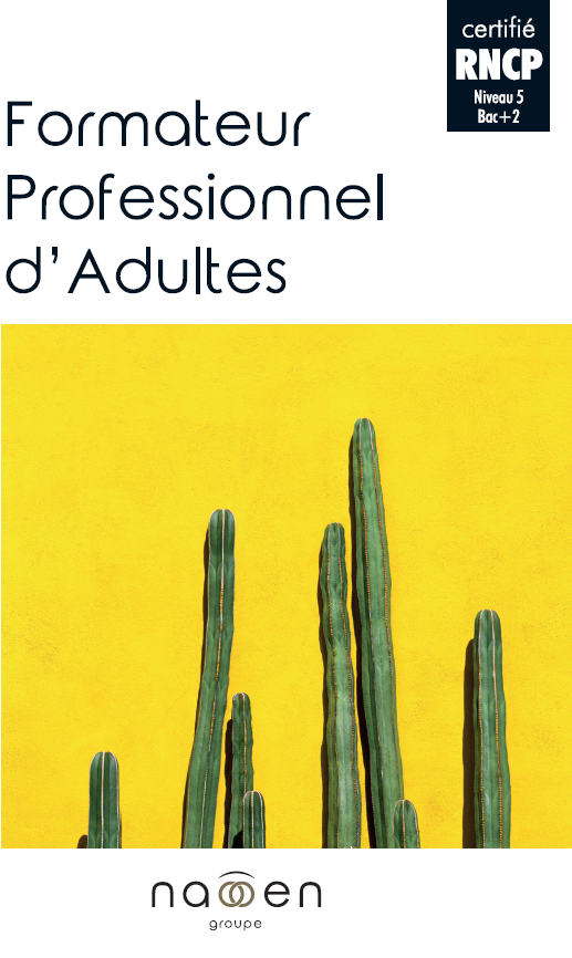 FORMATEUR PROFESSIONNEL D ADULTES