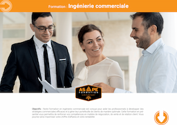 Ingénierie Commerciale 