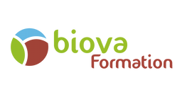 formation