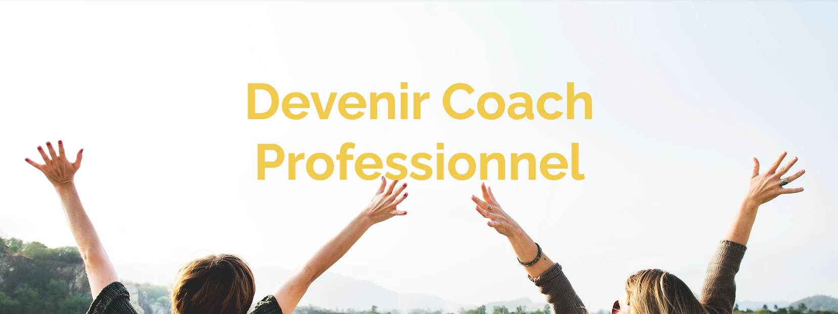 coach professionnel