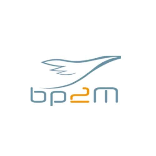BP2M