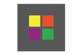 Capiconsult 17