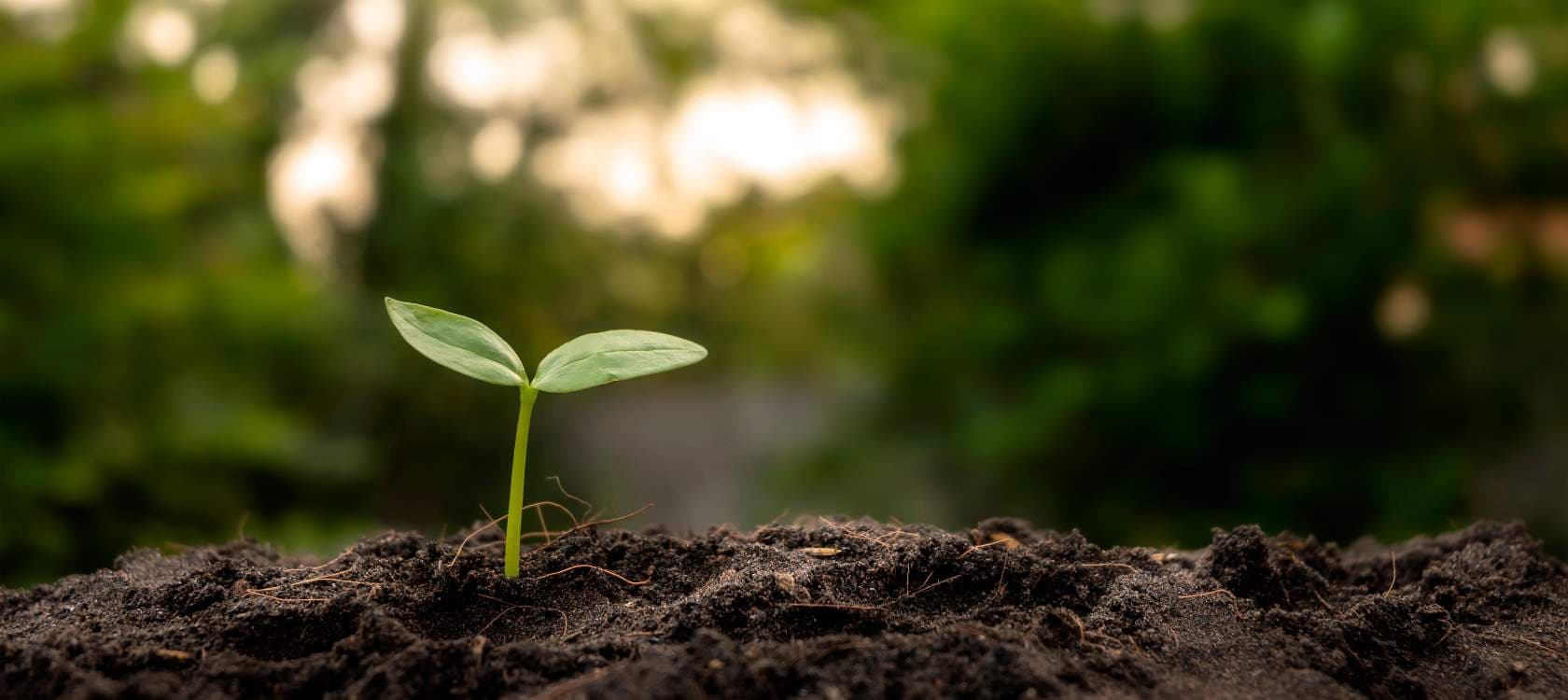 Formation Développement durable à Lyon