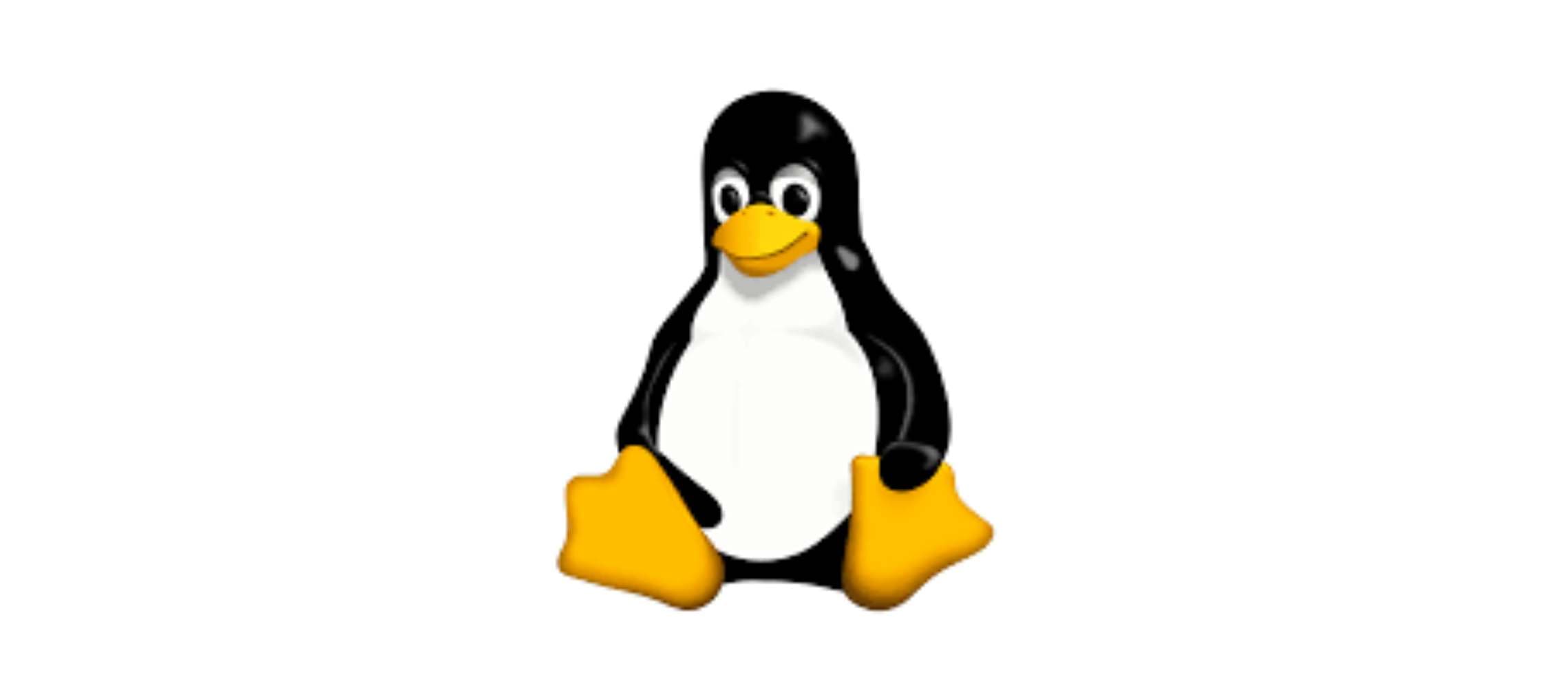 Formation Linux à distance