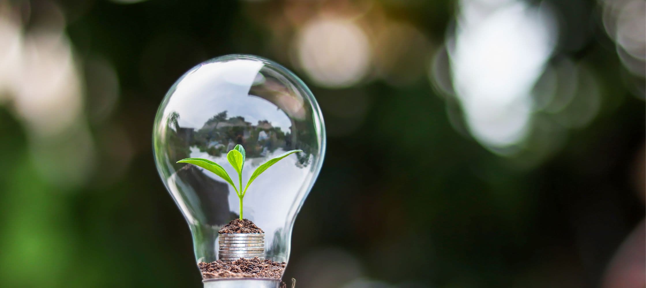 Formation Économies d'énergie à Nantes