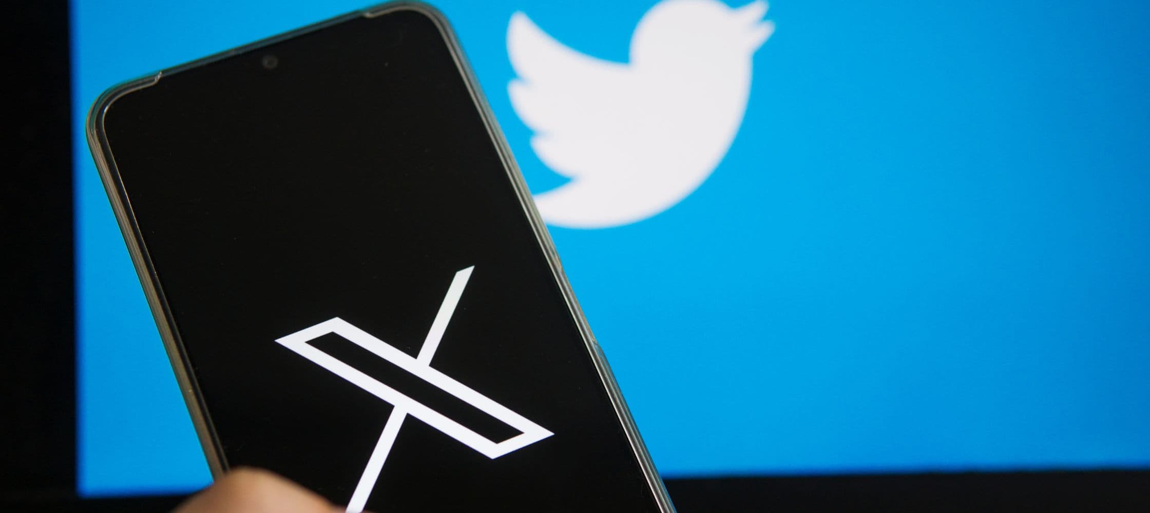 X (Ex-Twitter)