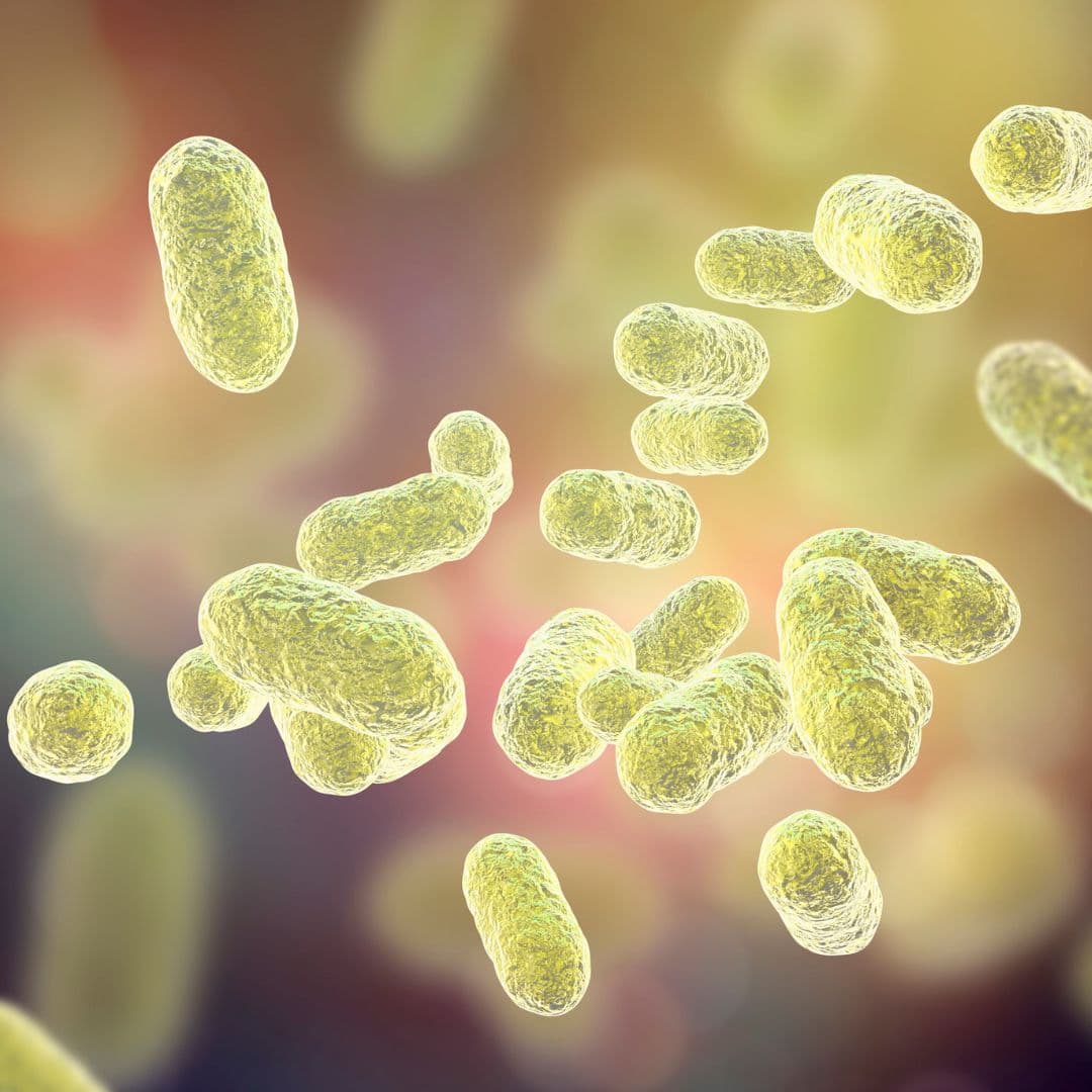 Microbiotes