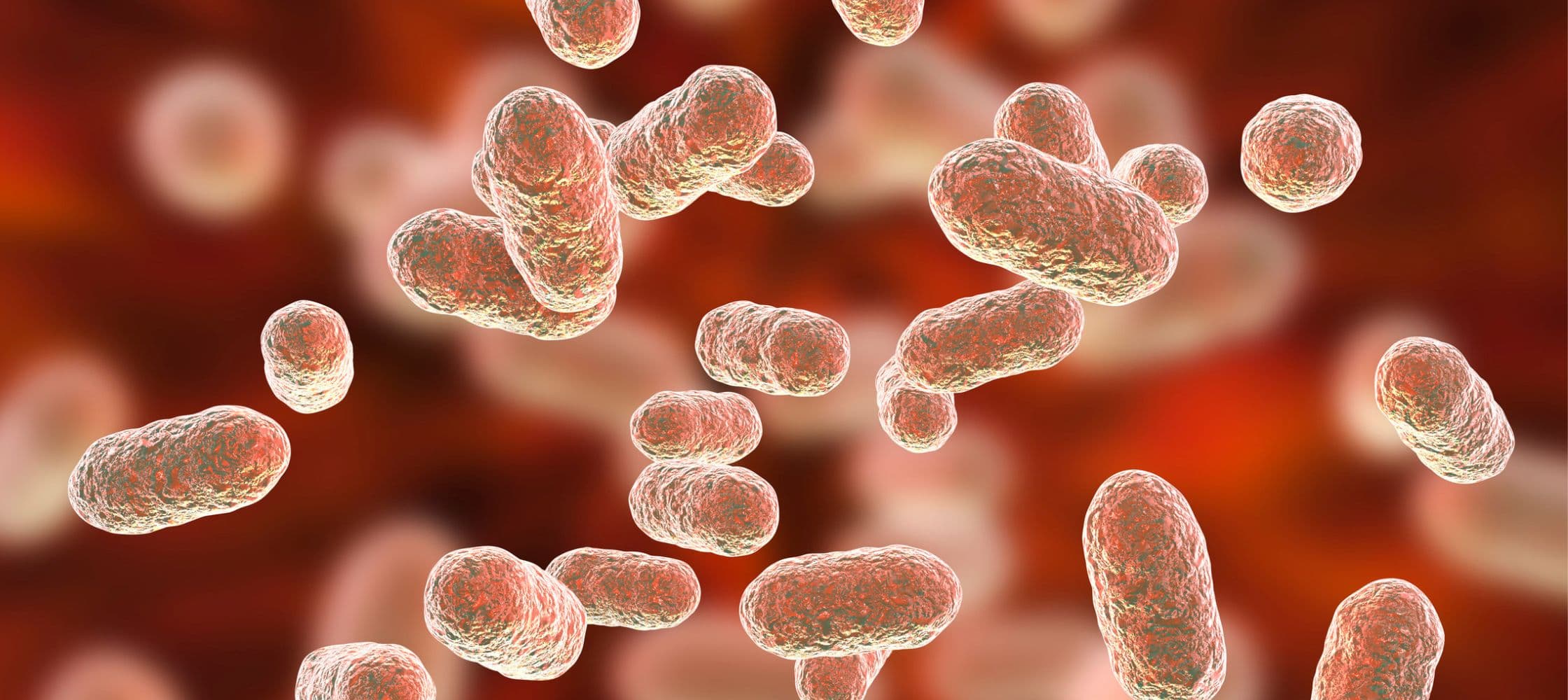 Microbiotes
