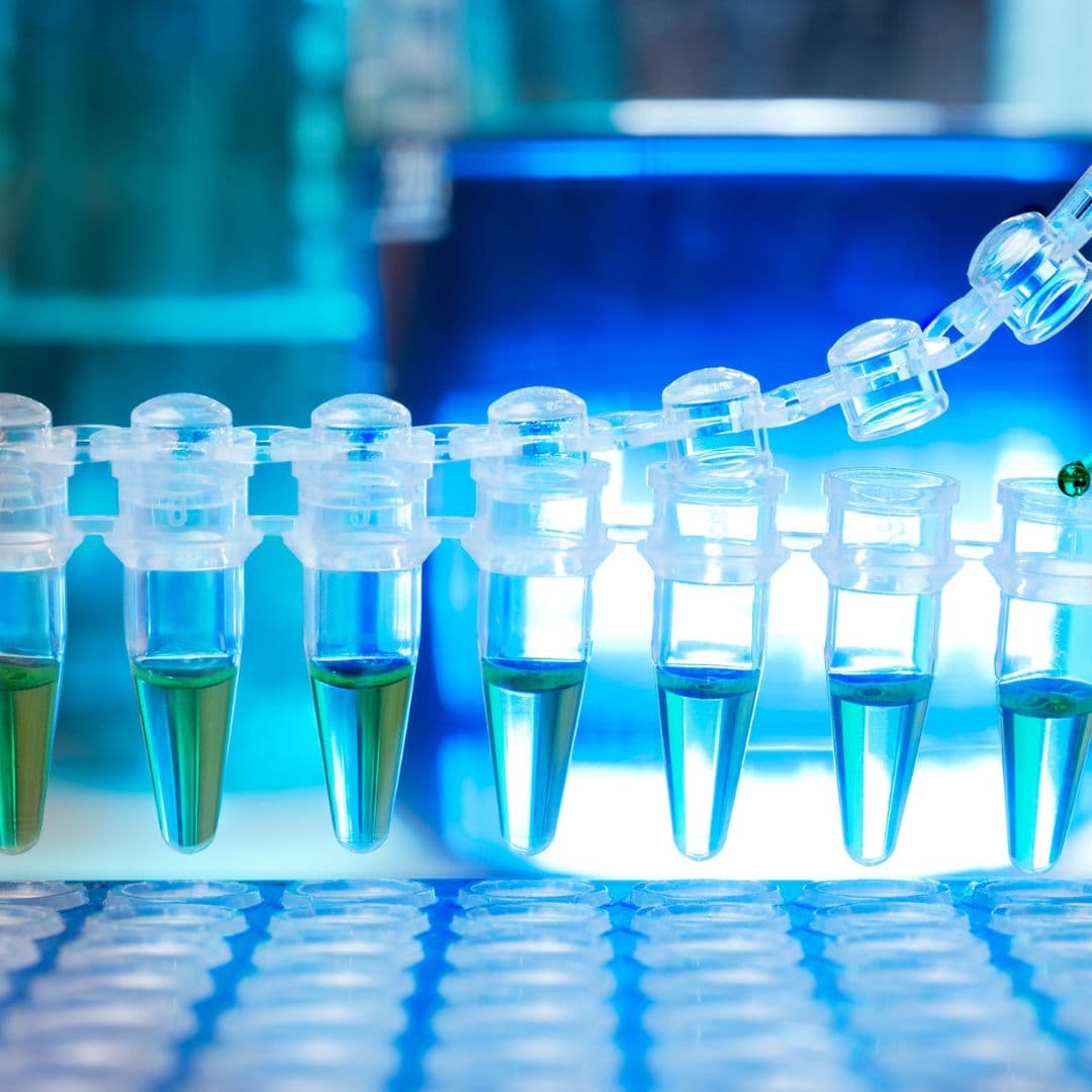 PCR