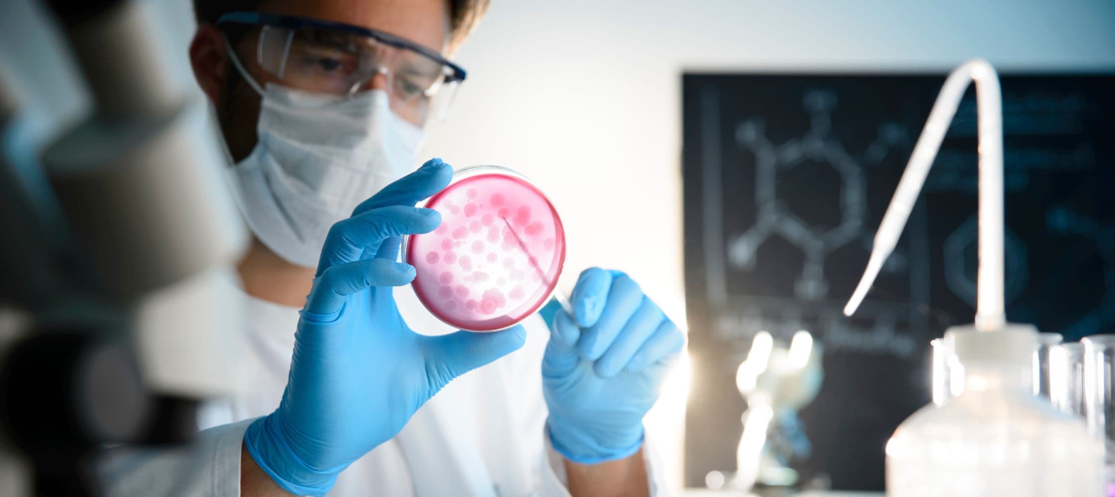 Microbiologie