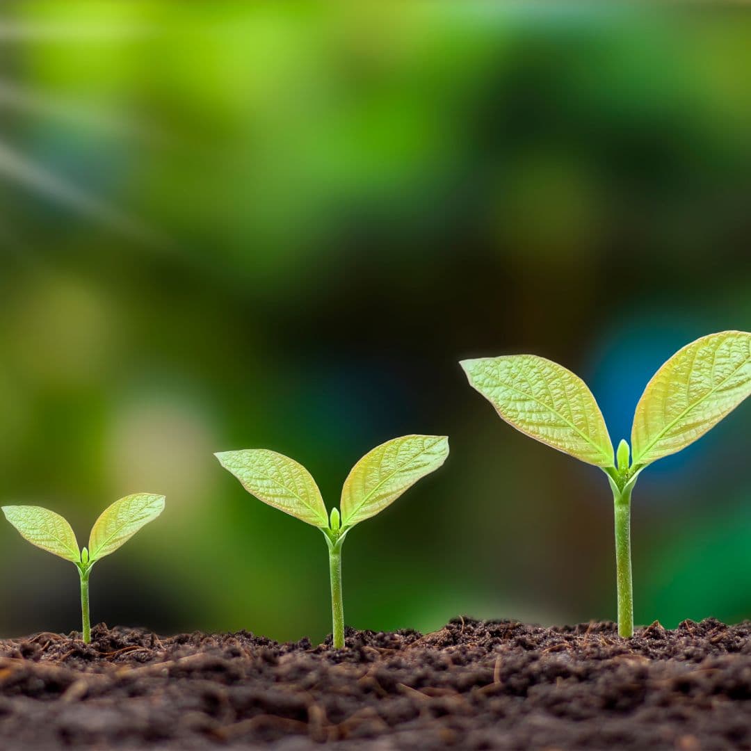 Certiphyto et Certibiocide