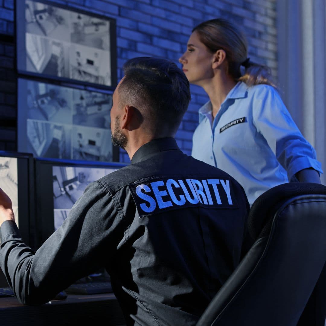 Télésurveillance
