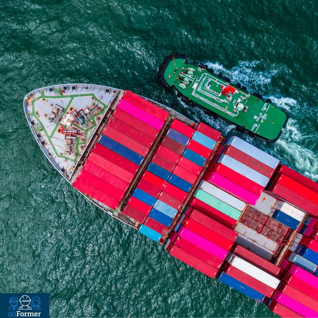 Import export
