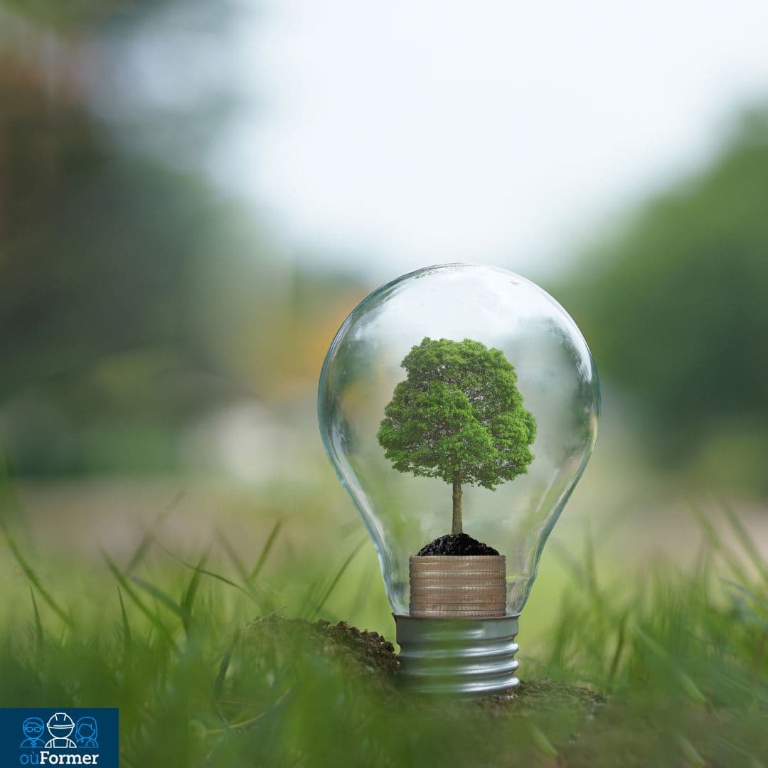 ICPE (Installations Classées pour la Protection de l’Environnement)