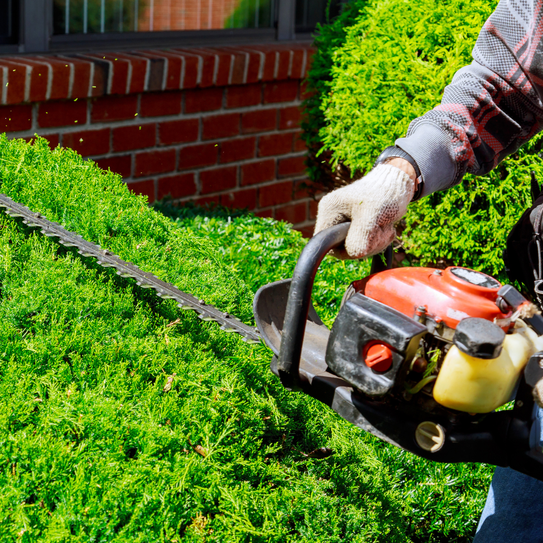 Entretien des espaces verts 