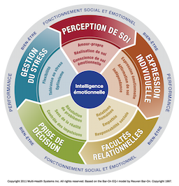 Développer votre intelligence émotionnelle avec EQ-i 2.0