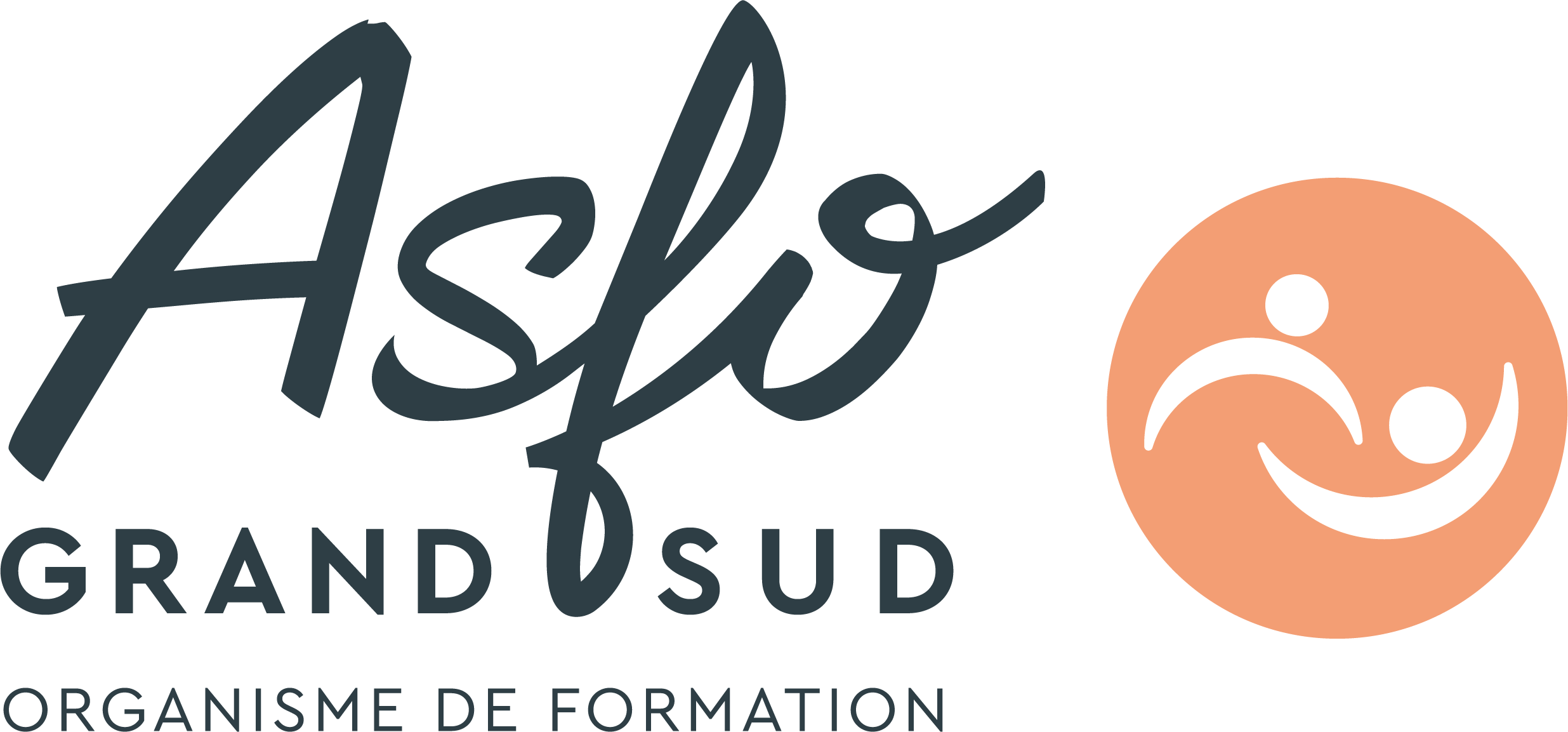 AFSO GRAND SUD