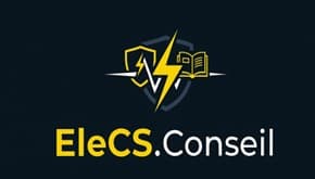 EleCS Conseil 