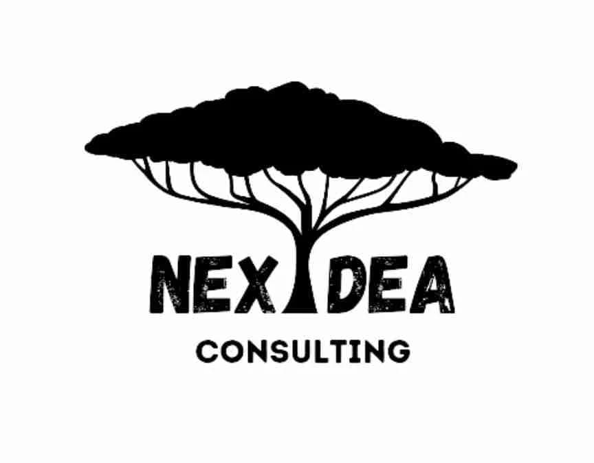 NEXIDEA CONSULTING