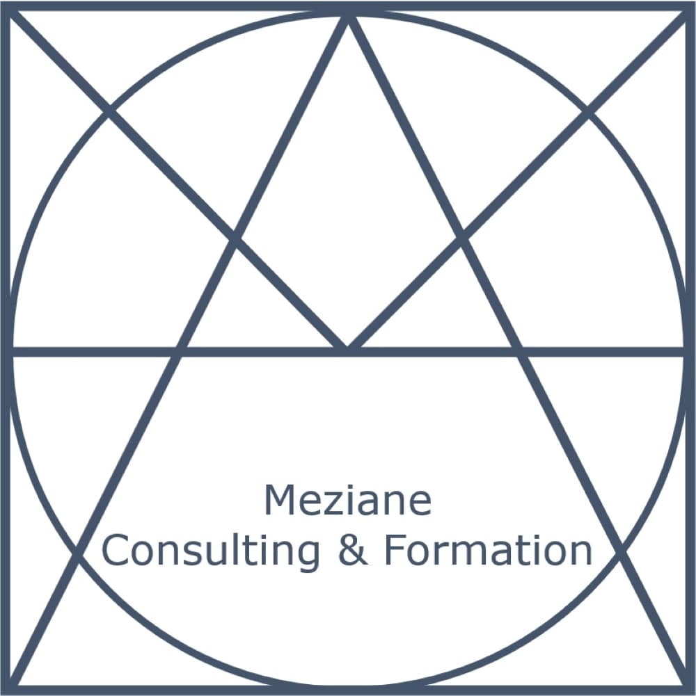 Meziane Consulting & Formation 