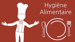 Formation Spécifique en matière d'Hygiène Alimentaire adaptée à l'activité des établissements de restauration commerciale