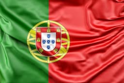 Portugais professionnel - 10h sur mesure - à distance