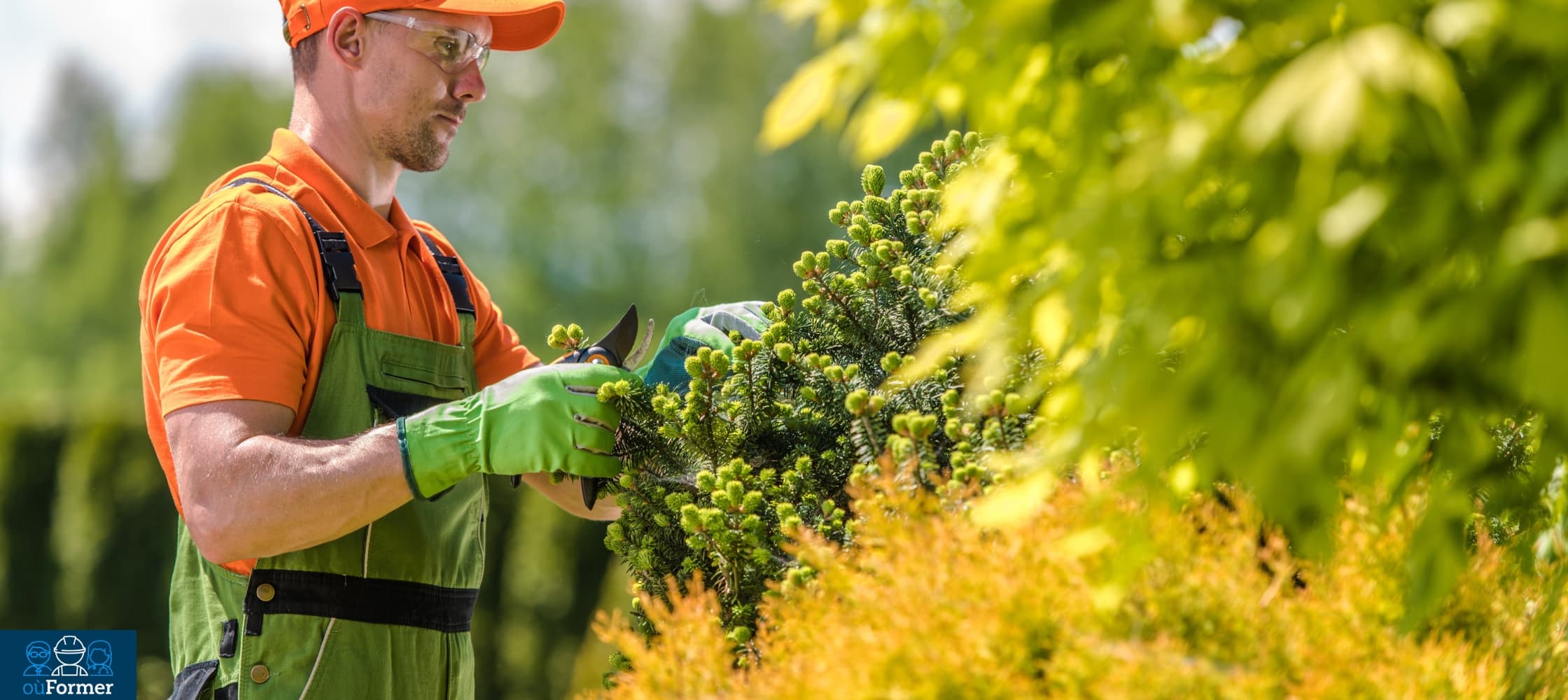 Entretien des espaces verts